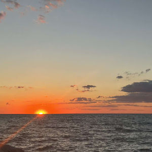 Meet your Posher, Kylee